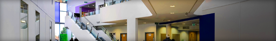 Terms of Use | Avi Contracts Ltd