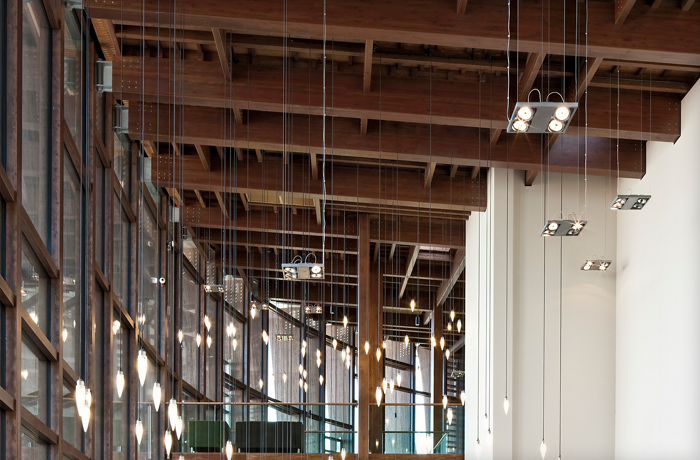 Leisure & Entertainment | Avi Contracts Ltd